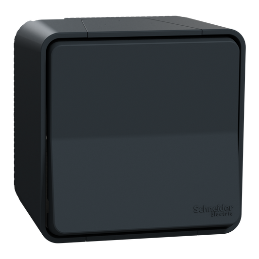 Va-et-vient étanche complet SCHNEIDER MUR35021 Mureva IP55